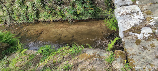 Molino De Severo - Park in Spain