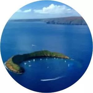 Molokini