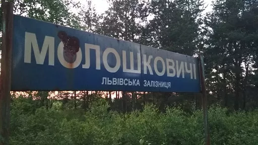Moloshkovychi station
