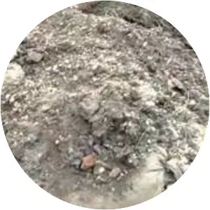 Monastery of Saint Mina - 