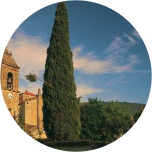 Monastery of Santa María de Melón