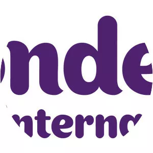 Mondelez International - Company