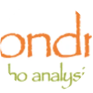 Mondrian OLAP server - 