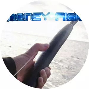 Money Fish - TV program