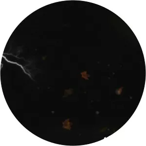 Moneyevery photograph