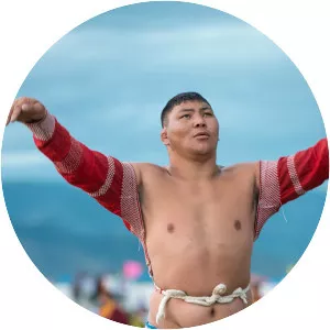 Mongolian wrestling photograph