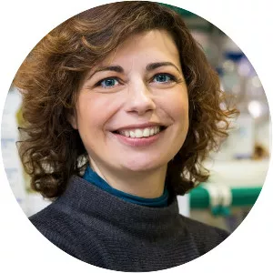 Mónica BettencourtDias