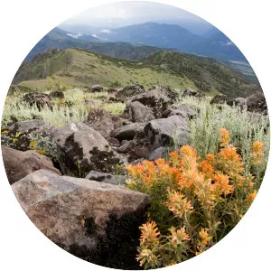 Monitor Pass - Mountain pass in California