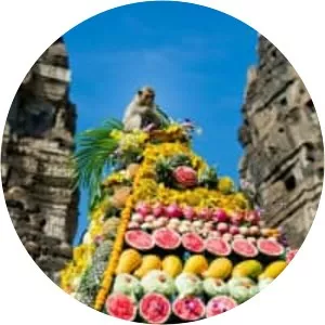 Monkey Buffet Festival - 