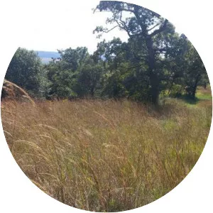 Monkey Mountain photograph