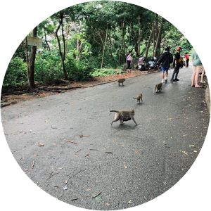 Monkey Temple Ba Ria - Vung Tau