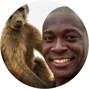 Monkeys: An Amazing Animal Family - TV program