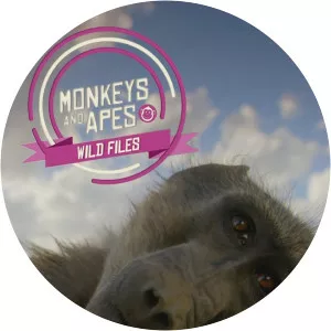 Monkeys and Apes: Wild Files - TV program