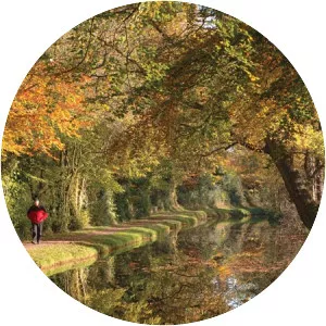 Monmouthshire and Brecon Canal - 