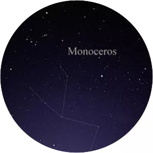 Monoceros