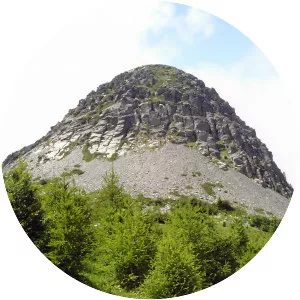 Mont Gerbier de Jonc