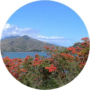 Mont Panié - Mountain in New Caledonia