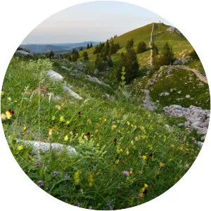 Mont Tendre - Mountain in Switzerland