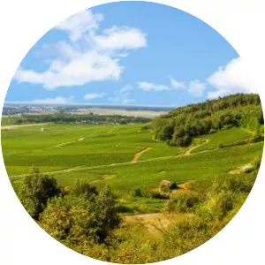 Montagne de Beaune - 