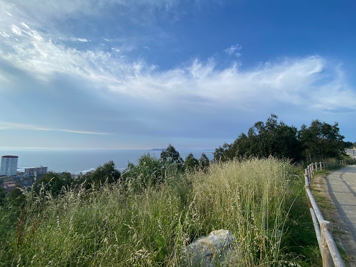 Monte Alto Miradoiro