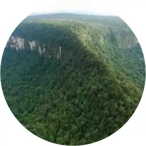 Monte Caburaí - Mountain in South America