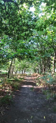 Monte Carrasco - Park in Spain