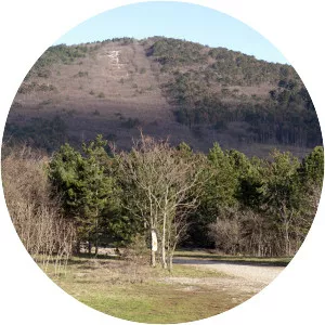 Monte Cocusso
