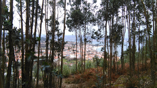 Monte da Serra Nacente - Park in Spain