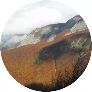 Monte Falterona - Mountain in Italy