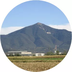 Monte Misma