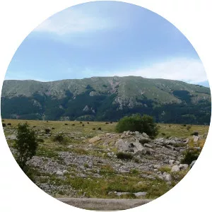 Monte Mutria