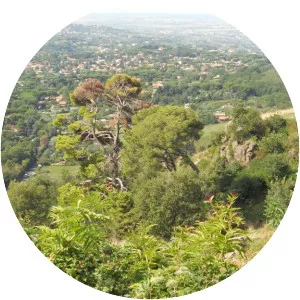 Monte Tuscolo - 
