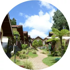 Monte Verde photograph