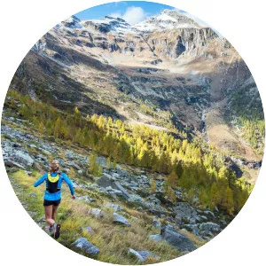 Monte Zucchero - Mountain in Switzerland