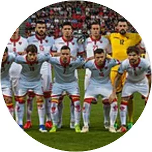 Montenegro national football team
