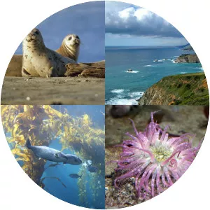 Monterey Bay National Marine Sanctuary - Marine sanctuary in California