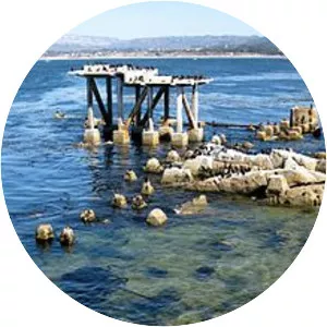 Monterey Bay - Bay in California