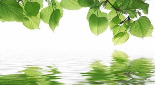 Monuments, care of graves