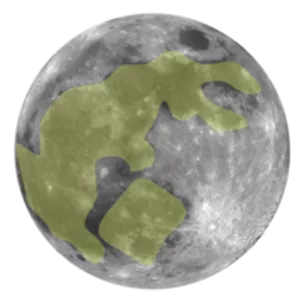 Moon rabbit - 