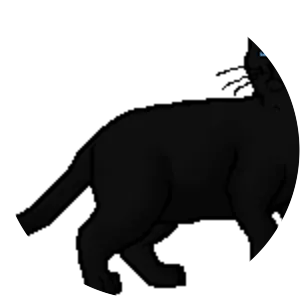 Moon Shadow photograph