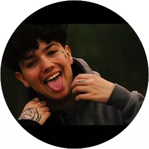 Moonkey - Musical artist