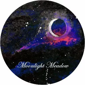 Moonlight Meadow