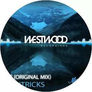 Moontricks - Musical artist