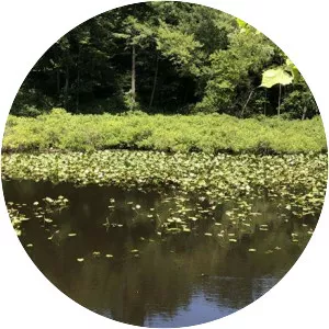 Moonville Rail Trail - 