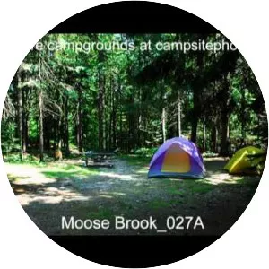 Moose Brook - Stream in New Hampshire