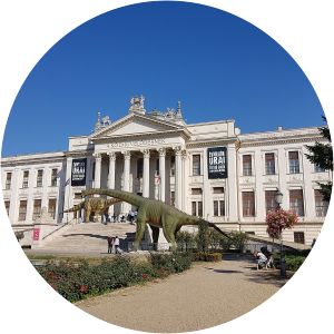 Móra Ferenc Múzeum