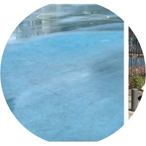 Moran Shoub Rubashov