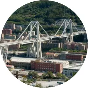 Morandi Bridge collapse - Disaster
