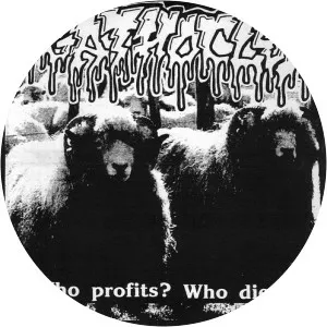 Morbid Organs Mutilation - Musical group