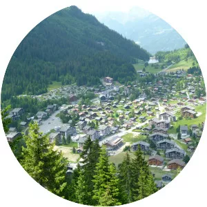 Morgins